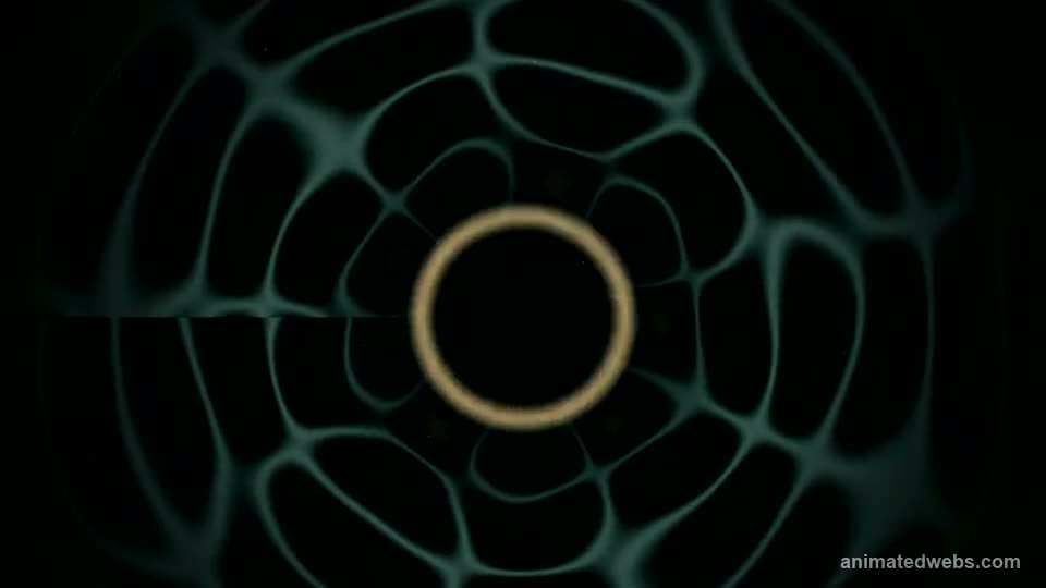 Bell Field animated background