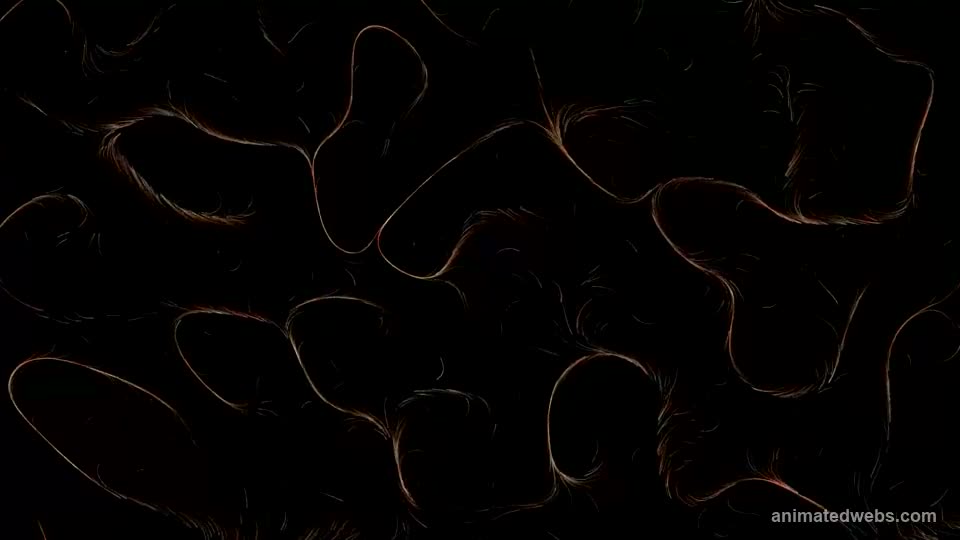 Flow Field animated background